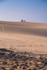 Wall Mural - Aerial view of a peasant woman carries a bamboo frame on the shoulder across sand dunes in Ninh Thuan province, Vietnam. It is one of the most beautiful places in Vietnam