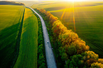 Poster - Bird's eye view of a morning country road passing through farmland and cultivated fields.