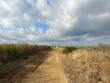 Dirt road at Delta de l'Ebre Nature Reserve