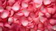 Rose Petal Background