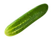 Schmorgurke und Hintergrund transparent PNG cut out   Braising Cucumber