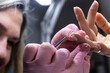 © ivan - Close-up of meticulous manicure process