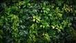 Herb wall, plant wall, natural green wallpaper and background. nature wall. AI-generated