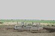 Tanque Australiano de placas de cemento en La pampa Argentina de sudamérica, es depósito de agua para beber los animales de campo, con fondo del prado verde y las vacas pastando en el horizonte   