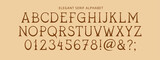 Fototapeta Boho - Vector Set Of Letters, Numbers and Punctuation. Decorative Elegant Serif Letters in Classic Proportions. Uppercase Alphabet.