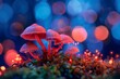 poisonous mushrooms glow bright fabulous