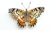 Butterfly isolation. Generative AI