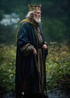 © MuhammadKamran - Old King in the Forest