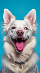 Canvas Print - White dog with pink tongue is smiling for the camera.