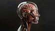 Artificial intelligence in the human brain