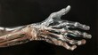 3d human skeleton hand isolated on black background
