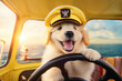 A fluffy golden retriever puppy, wearing a tiny captain's hat, joyfully driving a cute bus with a vibrant yellow background.
