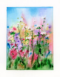 Fototapeta  - Colorful flowers painting,  floral background. Watercolor illustration.