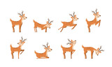 Fototapeta Pokój dzieciecy - Set of brown deer running and jumping. Beautiful stylized cartoon deers isolated on a white background. Cartoon character animal design. Vector illustration in flat style