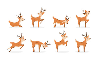 Wall Mural - Set of brown deer running and jumping. Beautiful stylized cartoon deers isolated on a white background. Cartoon character animal design. Vector illustration in flat style