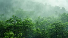 Tropical Rainforest Under Heavy Rainfall. 
