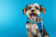 A delightful scene of a cute dog in action, singing with enthusiasm and holding a microphone against a vibrant blue background. The HD camera beautifully captures the canine artist's charm and talent