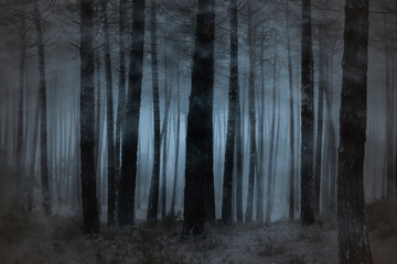 Sticker - Creepy foggy forest