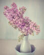 A beautiful lilac in a vase on a table. Blue background.Pastel tonality and soft focus.
