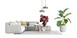 Sofa and plant in a living room on white backgrouund	
