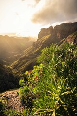 Wall Mural - Lush garden filled with vibrant red flowers and lush green plants basking in the sun's warm rays