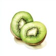 watercolor kiwi fruit in white background