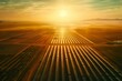 Sunrise illuminates rows of photovoltaic panels at a large solar farm