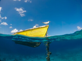 Wall Mural - Views around the Caribbean island of Curacao