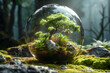 A sustainable ecosystem in a glass ball, promoting sustainability and self-sustaining practices.