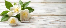   White Flowers With Green Leaves Against A Pristine White Backdrop Insert Your Text Or Image Here ..Or,..A Crisp White Wooden