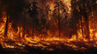 Large flames of forest fire. Ecological catastrophy.