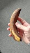 Man holds a very overripe banana in his hand
