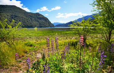 Canvas Print - Mountains meadow