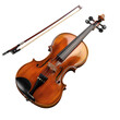 Elegant Viola and Bow Isolated on Transparent