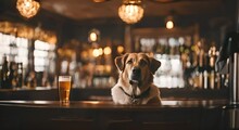 Dog With A Beer In A Pub.