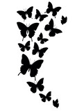 Fototapeta  - Composition of Black butterflies silhouettes flying