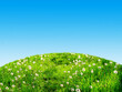 Blue sky and summer green field landscape