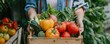 © Daniela - a woman is holding a box full of fresh vegetables.