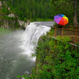 Fototapeta Las - Person Standing in Rain with Rainbow Umbrella on Platform Looking at River Waterfall Pine Forest