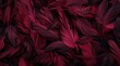   A multitude of red feathers scattered randomly for a wallpaper or background design
