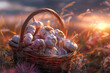 A dreamy scene of garlic bulbs arranged in a quaint wicker basket, bathed in the soft glow of a summer sunset, promising culinary delights.