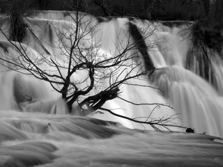 Canvas Print - river una