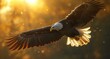   A bald eagle flies through the air with its wings spread wide