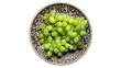 Fresh green Grape in a clay plate. PNG Design Element. 