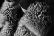 Editorial photo highlighting the texture and details of a luxurious fur coat, A captivating editorial photo focusing on the intricate texture and lavish details of a luxurious fur coat.