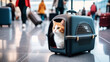 Travel with pets Concept. Cat in pet carrier waiting at the airport terminal. transportation of animals for holiday vacation or emigration