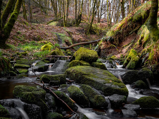 Wall Mural - Mountain river in England, dreamy scenery, moss-covered stones and beautiful waterfall in the forest. Sunny creek in spring cloudy Yorkshire evening. small cascade surrounded by moss and autumn leaves