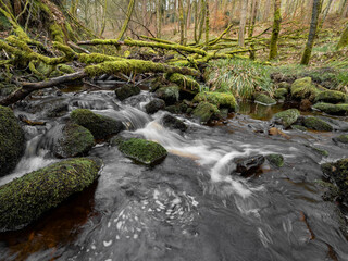 Wall Mural - Mountain river in England, dreamy scenery, moss-covered stones and beautiful waterfall in the forest. Sunny creek in spring cloudy Yorkshire evening. small cascade surrounded by moss and autumn leaves