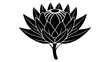 Beautiful Protea Flower Vector Illustrations Enhance Your Designs with Stunning Floral Graphics
