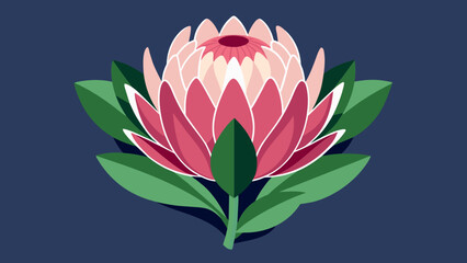 Wall Mural - Beautiful Protea Flower Vector Illustrations Enhance Your Designs with Stunning Floral Graphics